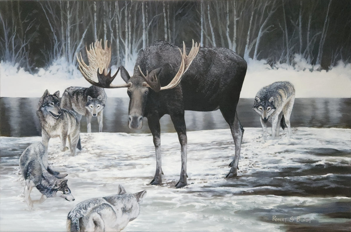 Surrounded 36"x24"