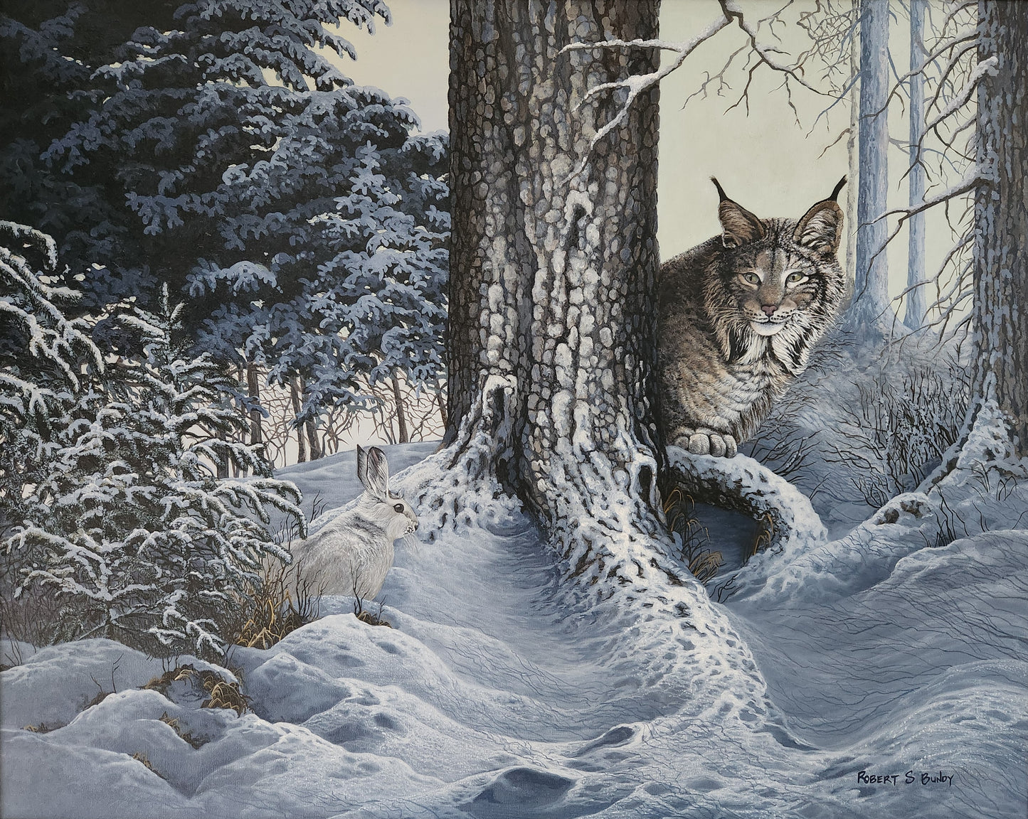 Face to Face 30"x24" Framed