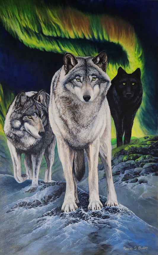 Aurora Travelers 30"x48"