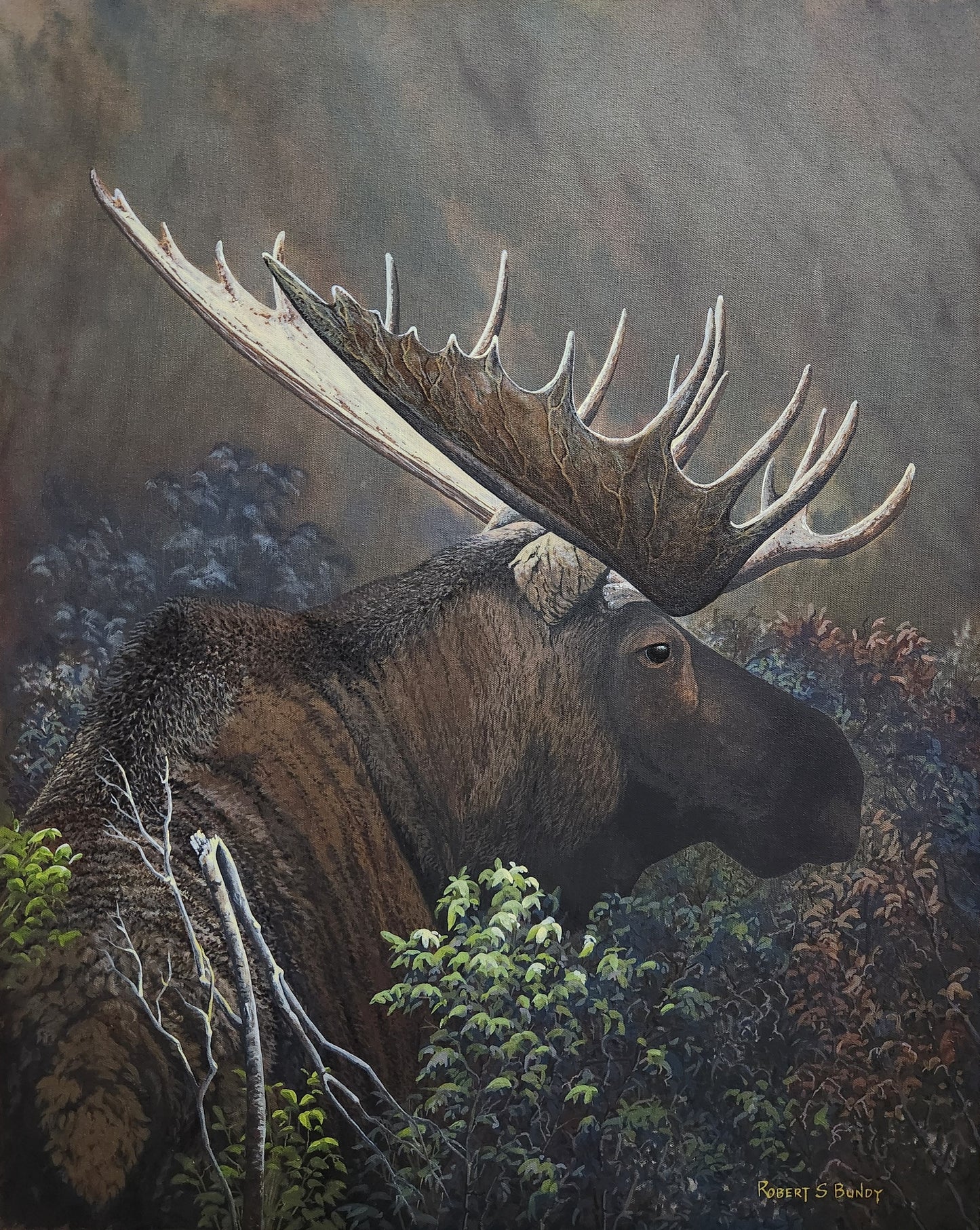 Evening in the Alders 24"x30"