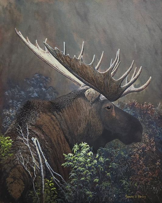 Evening in the Alders 24"x30"